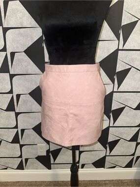 Shinestar Pale Pink Mini Skirt with Center Zip